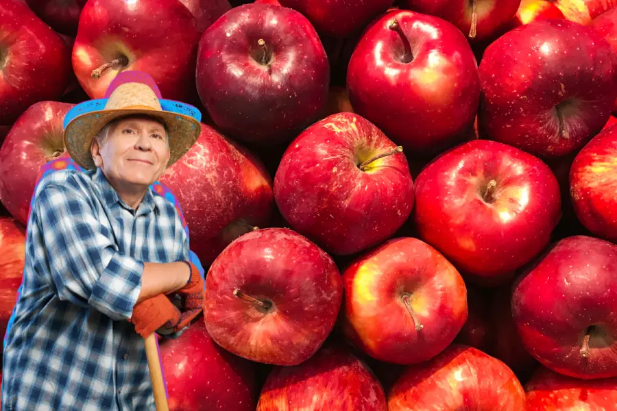 ¿Cuándo es temporada de manzanas en Arteaga, Coahuila?