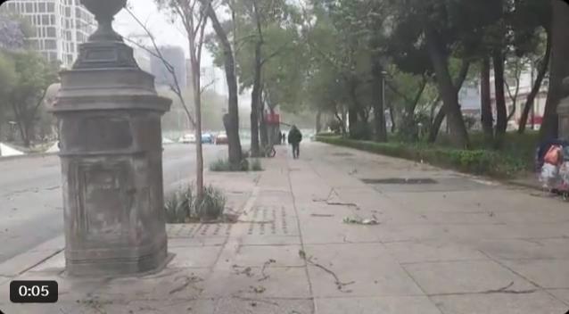 Fuertes viendo avenida reforma Foto: Captura de pantalla @PreMxOficial