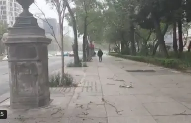 Azotan fuertes vientos a la CDMX, en varias alcaldías se activa la alerta