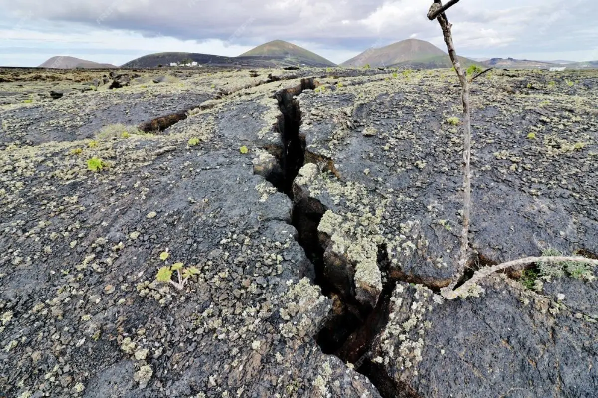 Primer sismo en Tamaulipas con magnitud de 3.7 grados. Foto: Freepik