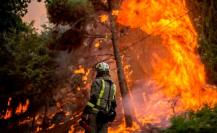 Coahuila lidera en prevención de incendios forestales, logra récord positivo en 2024