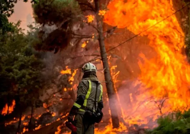 Coahuila lidera en prevención de incendios forestales, logra récord positivo en 2024