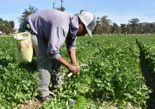 El municipio ubicado a 90 minutos de Durango que es famoso por el chile que produce