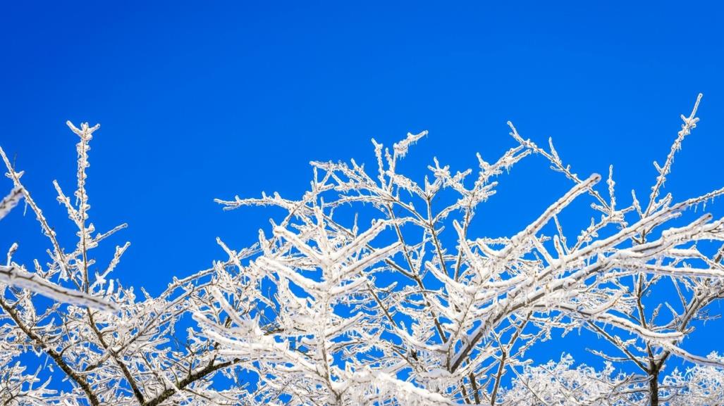 Clima en Tamaulipas: Frente frío 23 y masa de aire polar provocan bajón de temperaturas