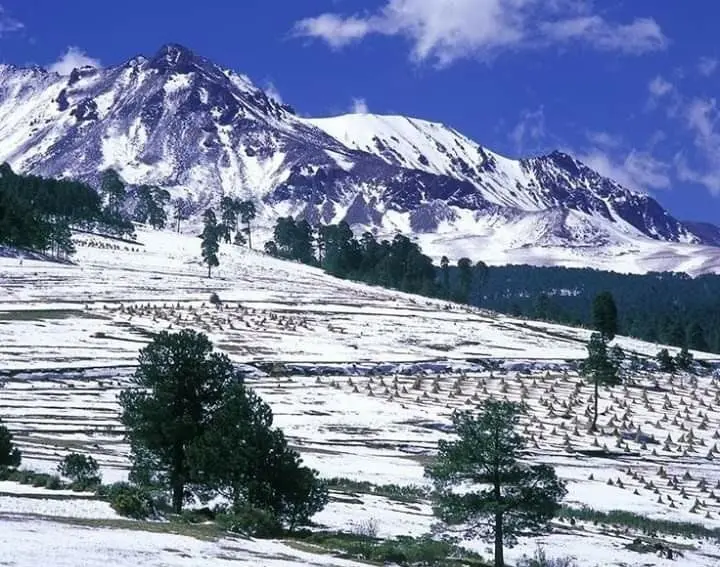 El Nevado de Toluca presentó gran afluencia por la caída de la primera Nevada. Imagen: @PCivilEdomex