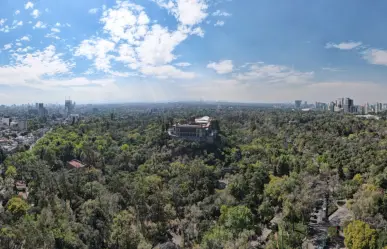 Actividades gratis en el Bosque de Chapultepec, talleres y recorridos que no te puedes perder