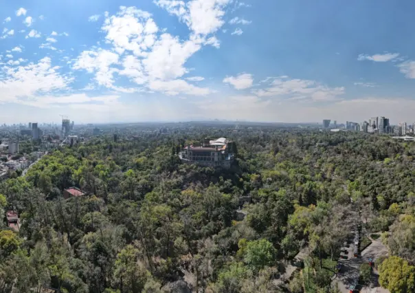 Actividades gratis en el Bosque de Chapultepec, talleres y recorridos que no te puedes perder