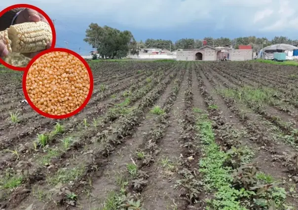 ¿Quieres ganar un tractor y equipo agrícola? Esto tienes que hacer