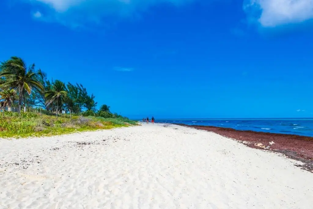 Llegar a la  costa yucateca desde Mérida es sencillo, pero hay rutas que son más recomendables por su belleza y paisajes.- Fuente Maya Turistic