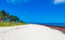 Esta es la carretera perfecta para un tour por las playas de Yucatán