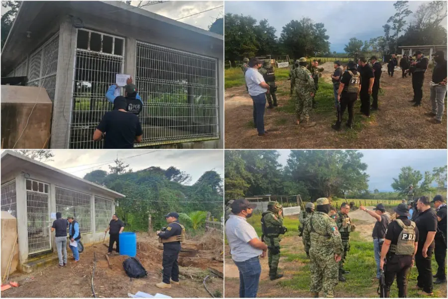 Localizan tigre de bengala tras cateo en rancho de Palenque, Chiapas