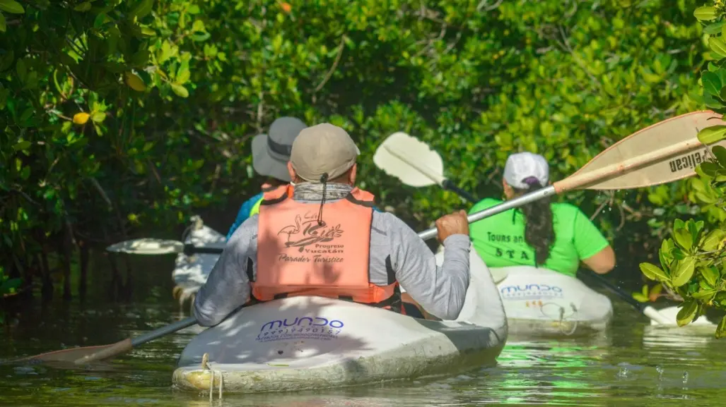 Turismo en Yucatán: Este es el deporte favorito de los extranjeros que visitan el Puerto de Progreso