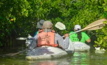 Turismo en Yucatán: Este es el deporte favorito de los extranjeros que visitan el Puerto de Progreso