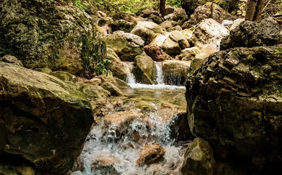 Disfruta de las Cascadas de Guadalupe, un paraíso natural accesible. Foto: Gobierno de Guadalupe.