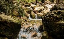 Transporte en Nuevo León: esta es la ruta para llegar a las cascadas de Guadalupe en camión urbano