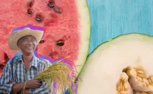Coahuila es productor nacional de melón y sandía, ¿lo sabías?