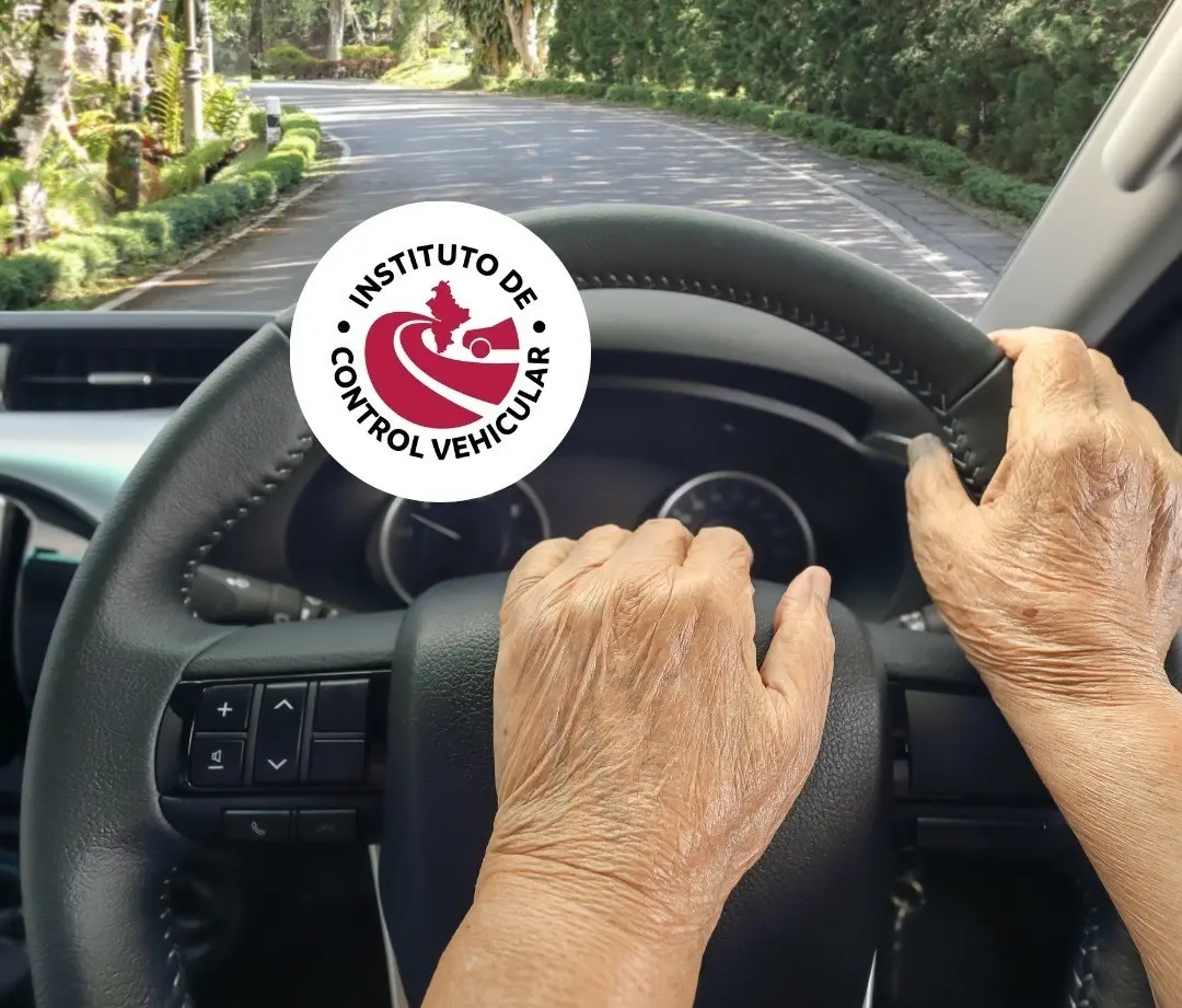 Persona de la tercera edad manejando un auto. Foto: Canva/ICVNL.