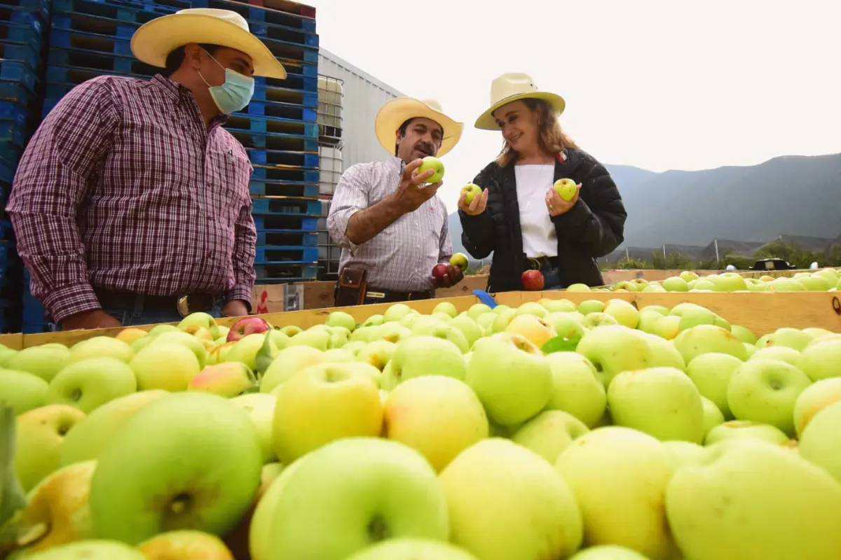 Huerto de manzana en Arteaga / Gobierno Federal de México