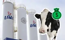 Grupo Lala: La historia de la marca lagunera que conquistó México 