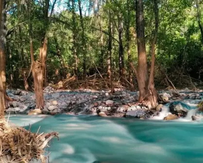 Transporte en Nuevo León: esta es la ruta para llegar al Río Ramos en camión urbano