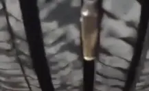 VIDEO | Casquillo se atora en llanta de auto tras balacera en El Carmen