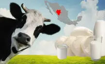 Nació en Durango y es una de las fábricas de alimentos más grandes de México