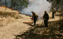 Incendios en California dejaron sin trabajo a migrantes yucatecos