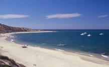 Semarnat cancela proyecto Punta La Paz por riesgos en áreas protegidas