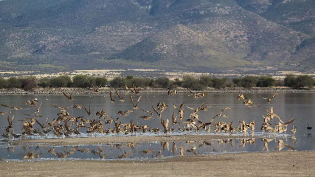 La laguna de Durango que casi nadie conoce y está a 30 minutos de la ciudad