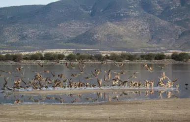 La laguna de Durango que casi nadie conoce y está a 30 minutos de la ciudad