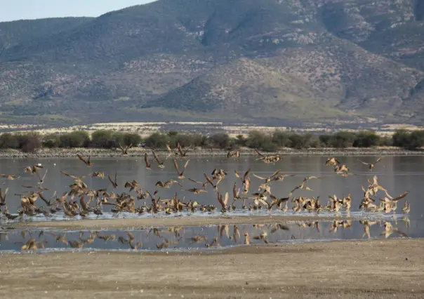 La laguna de Durango que casi nadie conoce y está a 30 minutos de la ciudad