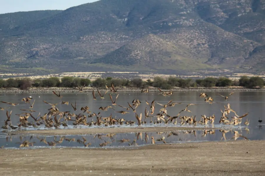 La laguna de Durango que casi nadie conoce y está a 30 minutos de la ciudad