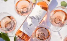3 vinos rosados producidos en Parras que debes probar