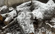 Cae nieve en Ciudad Victoria ¿cuándo fue la última vez que nevó? Cae nieve en Ciudad Victoria ¿cuándo fue la última vez que nevó?