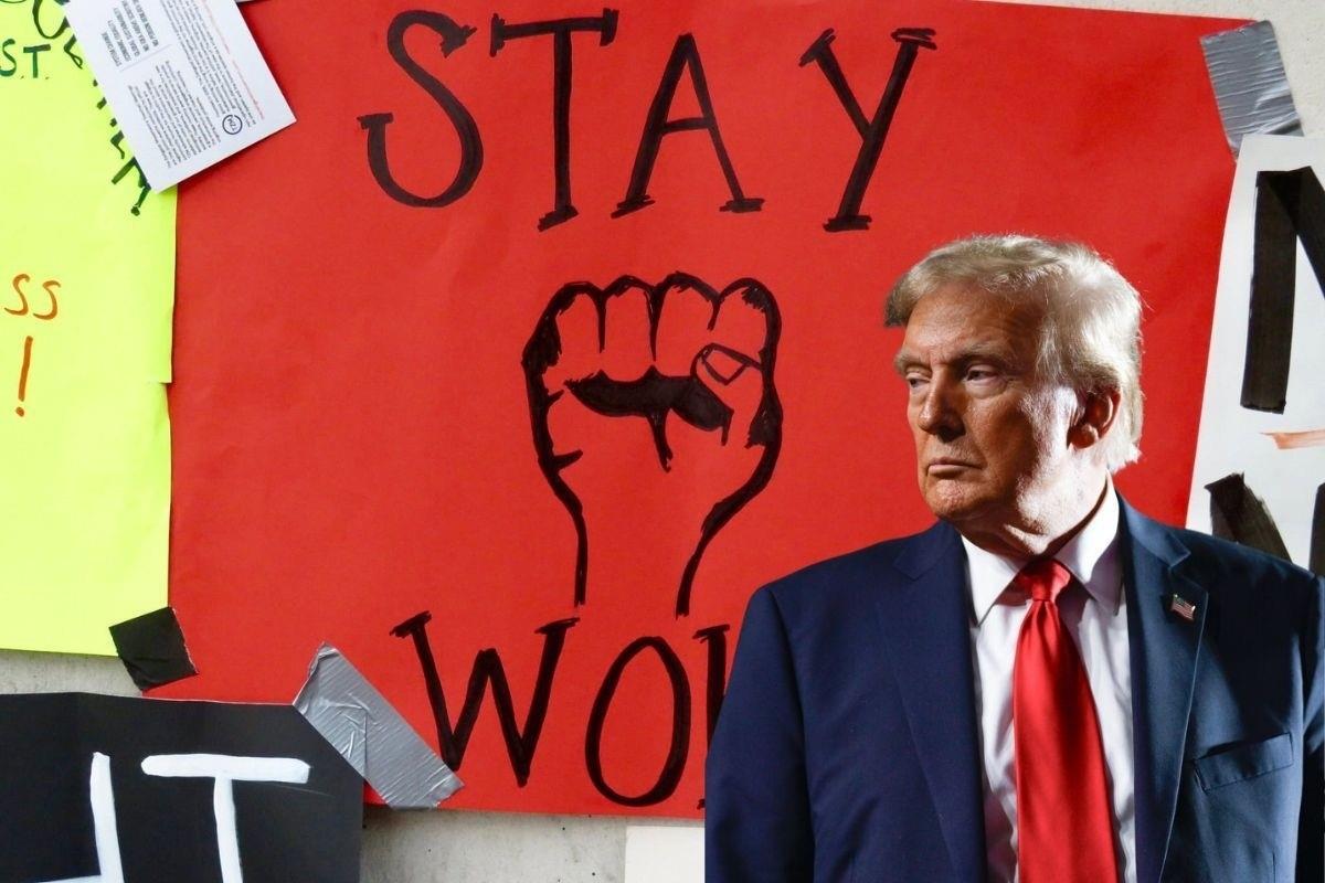 Donald Trump promete eliminar la cultura woke Foto: Canva