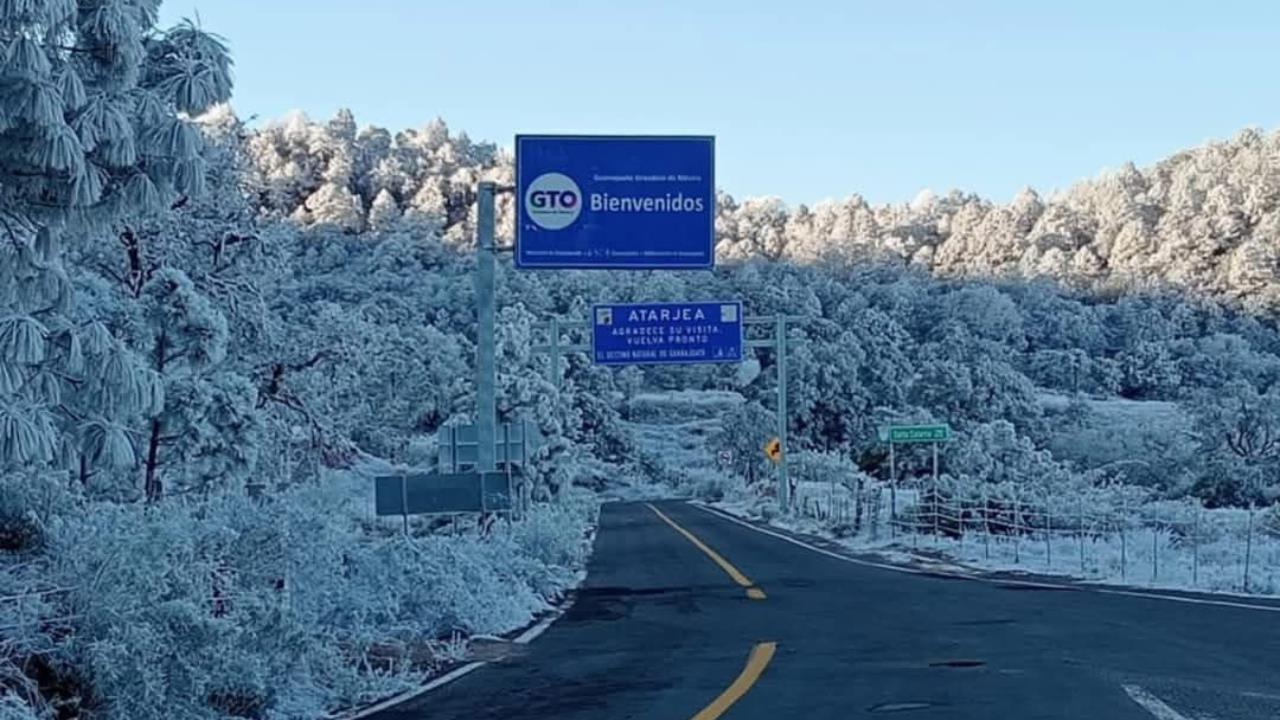 Frente frío 24: Guanajuato se pinta de blanco con nevadas