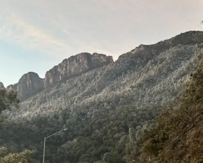 Frente frío 24: Chipinque se pinta de blanco y familias acuden a disfrutar del paisaje