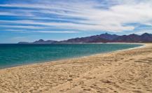 Suspenden proyectos La Abundancia y Baja Bay Club cerca de Cabo Pulmo tras advertencias