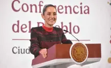 Claudia Sheinbaum apoya decreto de CDMX como territorio libre de maíz transgénico