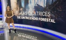 Conductora regia Scarlett Galván sigue cosechando, en Univision a 2 años de dejar Televisa Monterrey