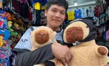 Los capibaras, la nueva sensación y tendencia entre niños y adultos yucatecos
