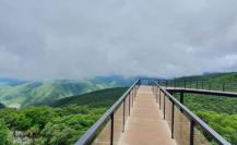 El Mirador de Alta Cumbre y los paisajes más espectaculares de Tamaulipas