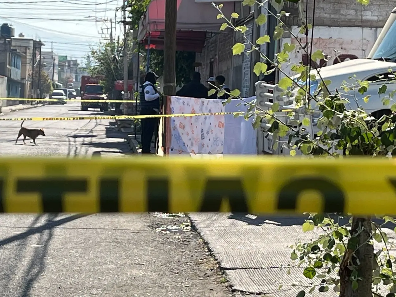 Las autoridades se encuentran investigando el asesinato en el municipio de Nezahualcóyotl. Imagen: POSTA