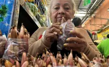 Conoce la piñuela, la fruta que inicia su temporada en Yucatán