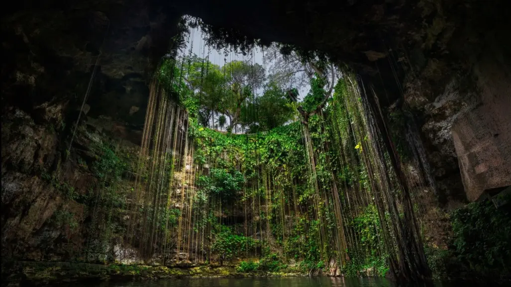 ¿Cuál es el cenote más instagrameable de Yucatán, según los fotógrafos?