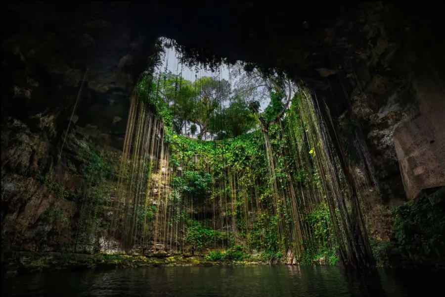 ¿Cuál es el cenote más instagrameable de Yucatán, según los fotógrafos?