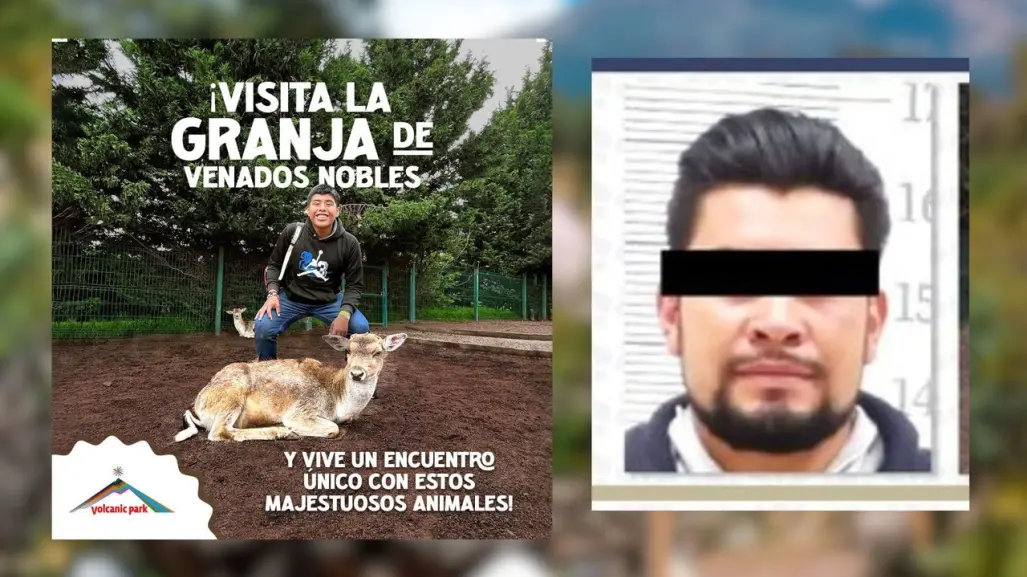 6 años de cárcel a hombre que mató a 32 venados en Puebla por venganza contra Volcanic Park