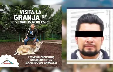 6 años de cárcel a hombre que mató a 32 venados en Puebla por venganza contra Volcanic Park