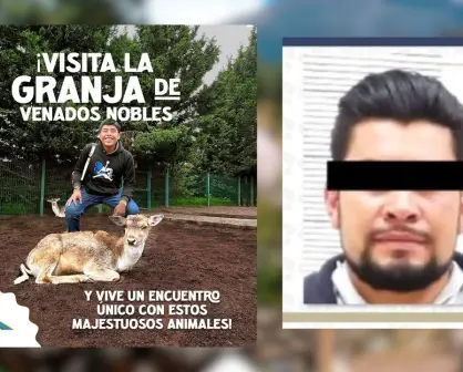 6 años de cárcel a hombre que mató a 32 venados en Puebla por venganza contra Volcanic Park