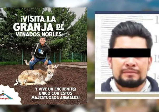 6 años de cárcel a hombre que mató a 32 venados en Puebla por venganza contra Volcanic Park